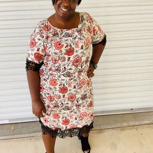 NWT Piphany Brooks Dress 2X
